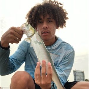 Meet your Posher, Liam